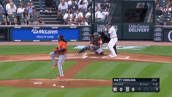 Tigers GIF