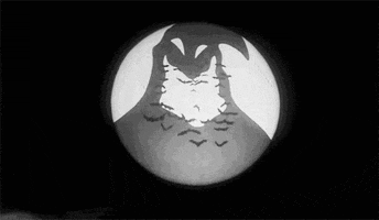 Movie gif. Shape of a shadowy smiling ghoul on a white moon-like disc in a dark sky dissolves into a flock of bats that fly toward us.