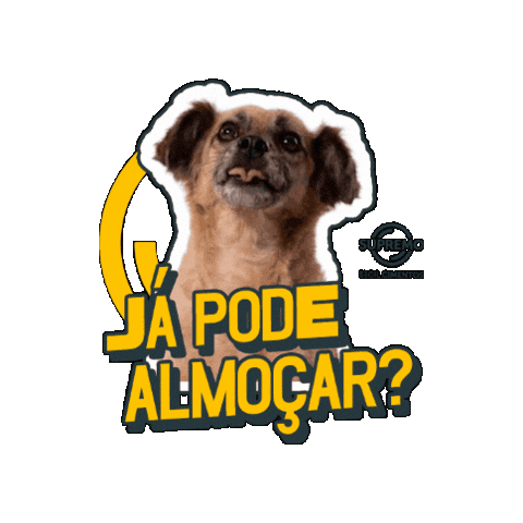Almoçar Sticker by Supremo Secil Cimento