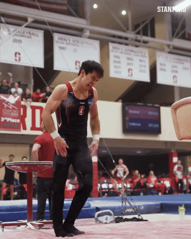 Team College GIF by Stanford Athletics