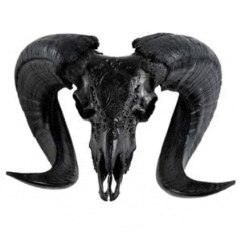 Decor Animalskull Black Grey Skull GIF