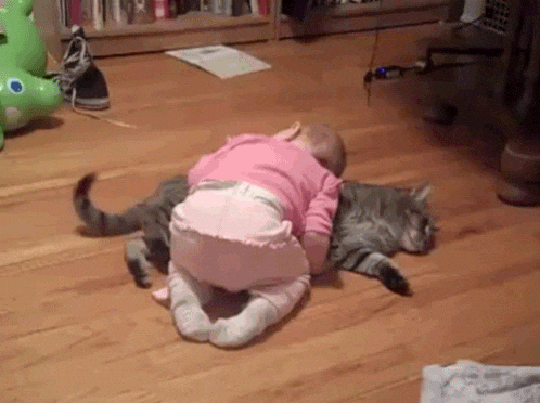 giphy.gif?cid=ecf05e47a9gtf99wpsa36yks35dwud239msgb9nklad8gmkh&rid=giphy.gif
