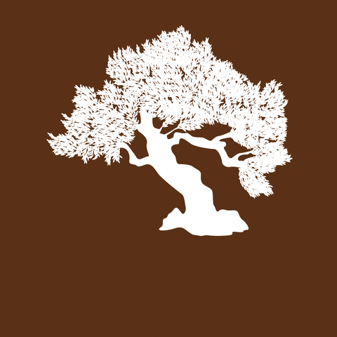 Pir GIF by be shared