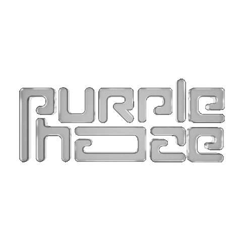 Dance House Sticker by Sander Van Doorn