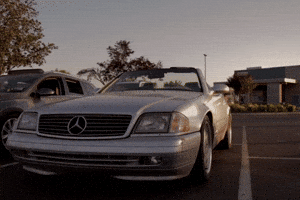 Sl500 GIF