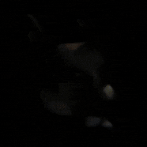 Corgi Cute Dog GIF