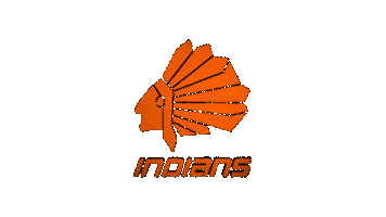 flag-indians Sticker