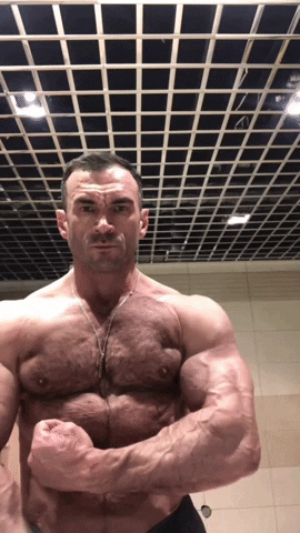Bear Muscle GIF by Database數據