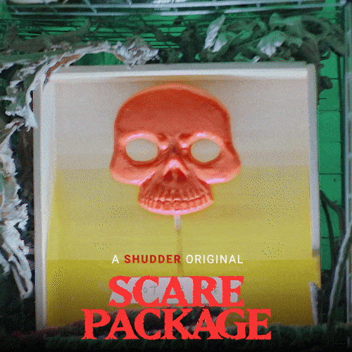 Scared Scary Movie GIF by Shudder