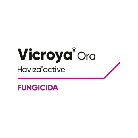 Vicroya Sticker by Cortevapy