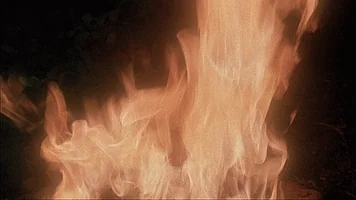 jeff lieberman fire GIF