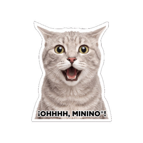 Seguroesporminino Sticker by Minino Plus®