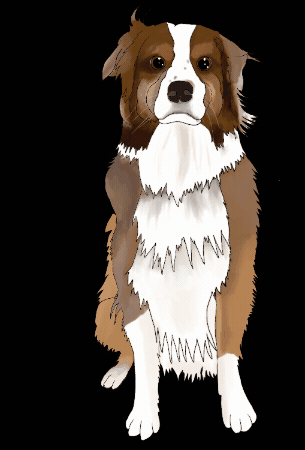 Dog Puppy GIF