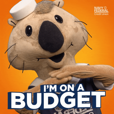 Navy Federal GIF by Navy Federal Credit Union