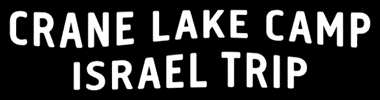 Trip Bus GIF by URJ Eisner and Crane Lake Camps