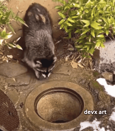 Cover Hole GIF by DevX Art