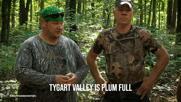 200.gif?cid=fc005b0879656056830839fcae258cdc174a04ea10d59e82&rid=200.gif&ct=g