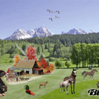 country