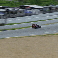 Uh Oh Surprise GIF by MotoAmerica