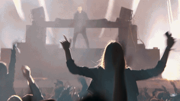 nimapirzadeh festival stockholm goteborg steve angello GIF