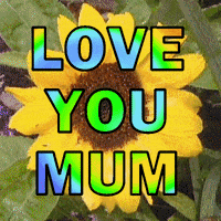 I Love Mum Gifs Get The Best Gif On Giphy I Love Mum Gifs Get The Best Gif On Giphy