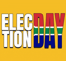 Voting South Africa GIF by Ishmael Arias Pinto