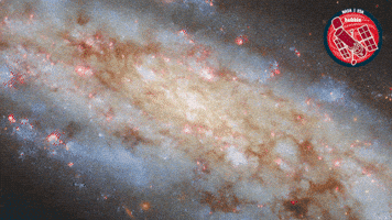 Stars Spinning GIF by ESA/Hubble Space Telescope