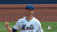 New York Sport GIF by MLB - Find & Share on GIPHY