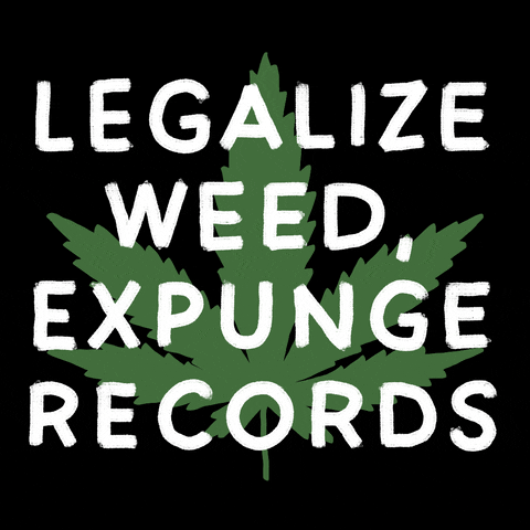 Weed Invest GIF by Creative Courage