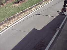 pasqualeegiovannaborsato  GIF