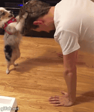 https://media3.giphy.com/media/wXxi0pHnywjWE/giphy.gif?cid=e1bb72ff5a81fc32473954434983eece