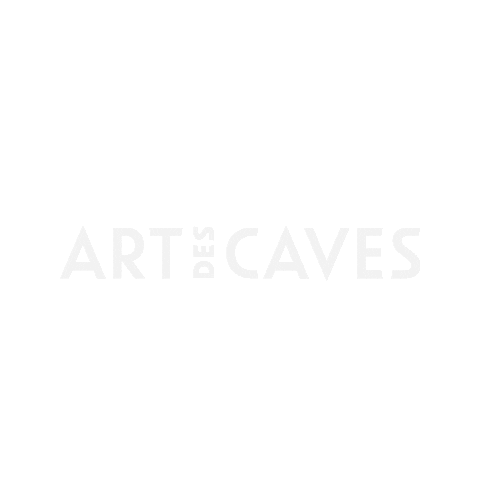 Art Des Caves Sticker