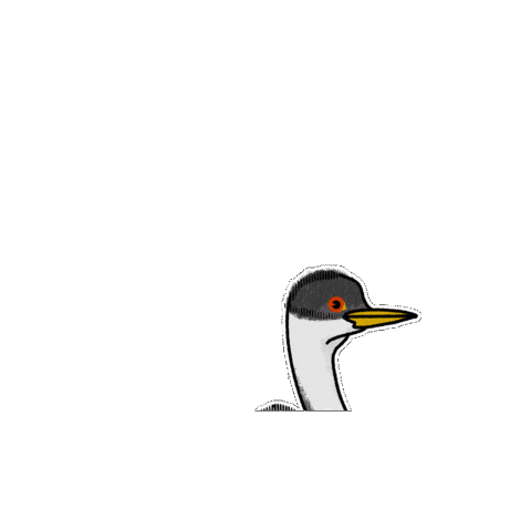 Bird Sticker by Parks Conservancy