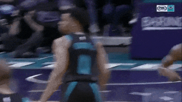 my house nba GIF by Charlotte Hornets