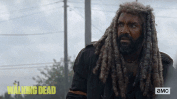 twd GIF by The Walking Dead
