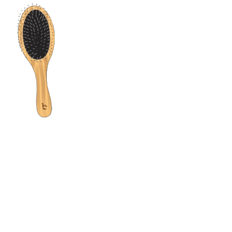 Hair Brush Sticker by Beauty by Earth for iOS & Android | GIPHY