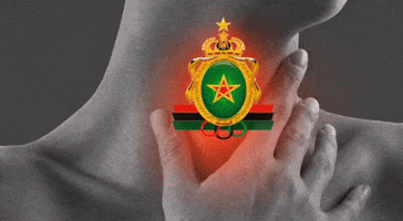 Asfar GIF by Supporter Sasfar