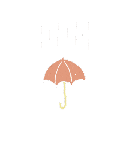 Rain Sticker