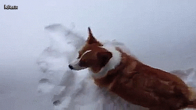 GIFs that accurately describe winter running - Canadian Running Magazine
