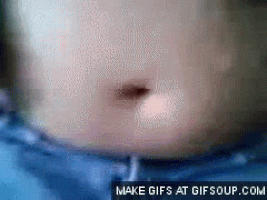 belly GIF