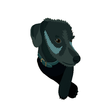 Dog Dachshund Sticker