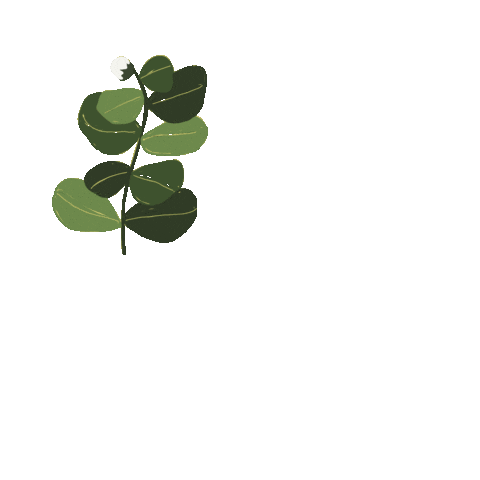 Plants Sticker