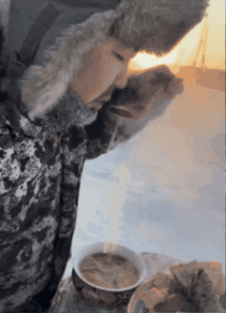 Winter Sun Cooking GIF