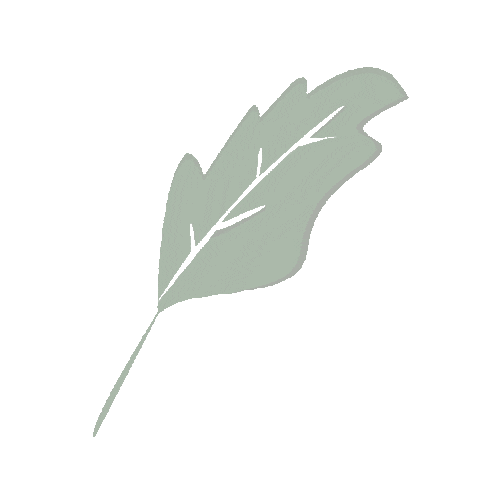 Leaf Sticker by Bosquejo Kids