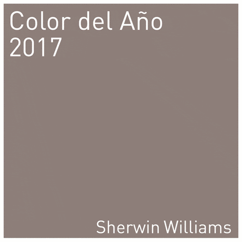 SherwinWilliansEcuador GIF