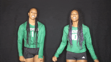 Celebrate College Athletics GIF by USAO Drovers