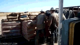 prank fail GIF by Cheezburger