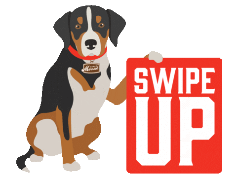 Dog Swipe Up Sticker by Toronto Marlies for iOS & Android
