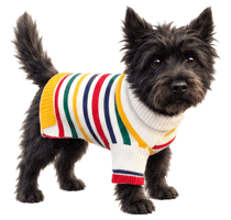 Cairn Terrier Sticker by MISTER WOOF