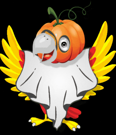 GIF by TSV Falkensee e.V.